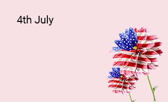 4th of July group greeting cards