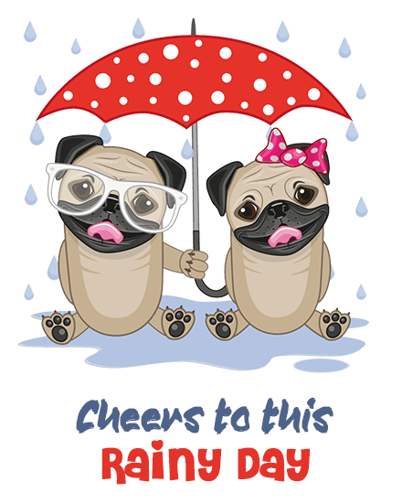 rainy day rainy day