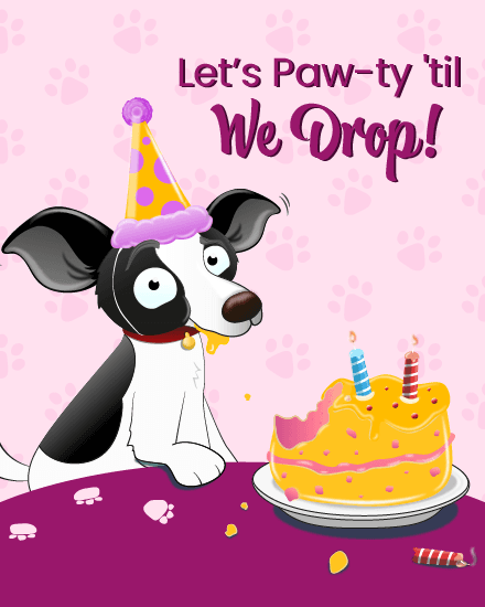 lets paw-ty lets paw-ty