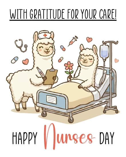 Llama Care & Comfort Llama Care & Comfort
