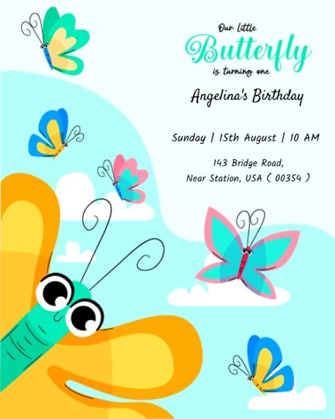 butterfly butterfly